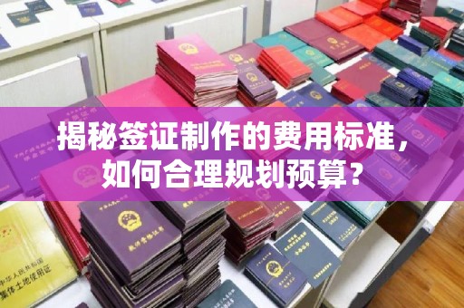 闵行揭秘签证制作的费用标准，如何合理规划预算？