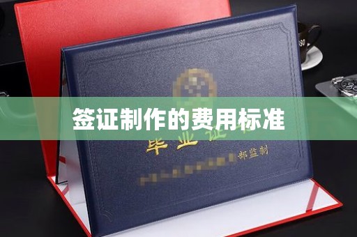 闵行签证制作的费用标准