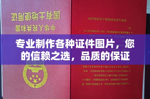 闵行专业制作各种证件图片，您的信赖之选，品质的保证