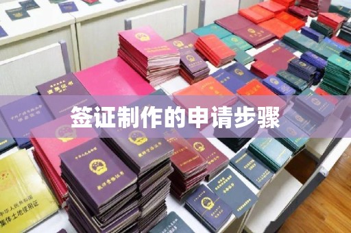 闵行签证制作的申请步骤