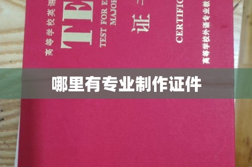 闵行哪里有专业制作证件