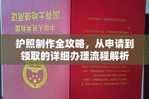 闵行护照制作全攻略，从申请到领取的详细办理流程解析