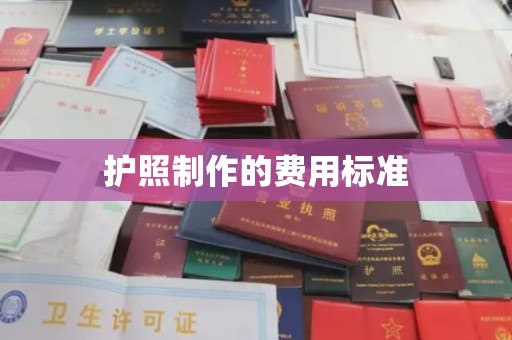 闵行护照制作的费用标准
