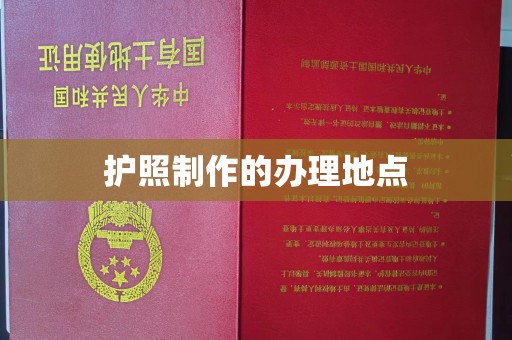 闵行护照制作的办理地点